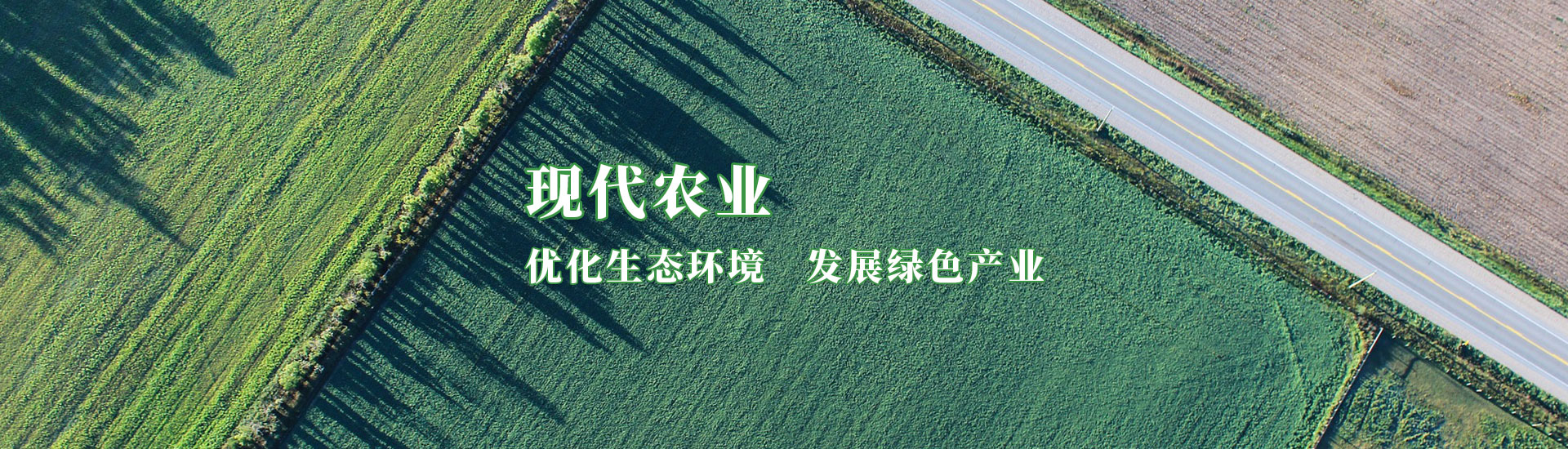 CQ9电子·(中国)唯一官方网站