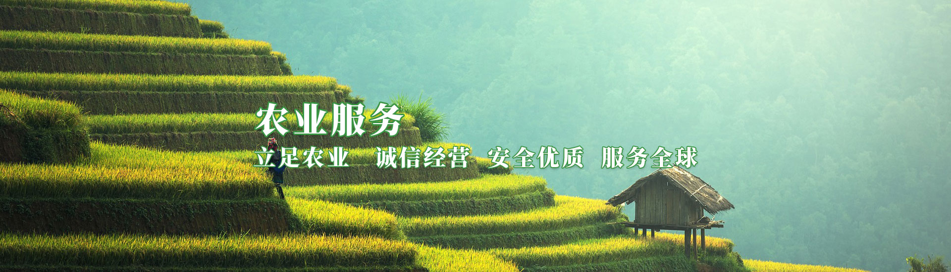 CQ9电子·(中国)唯一官方网站