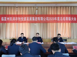 回首凝心聚力 展望未来可期 ——cq9电子官网入口公司召开2020年度总结表扬大会