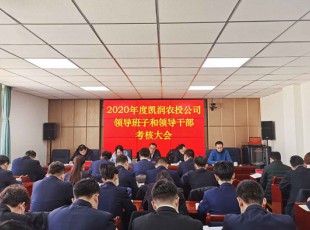 cq9电子官网入口 召开2020年度向导班子和向导干部审核大会
