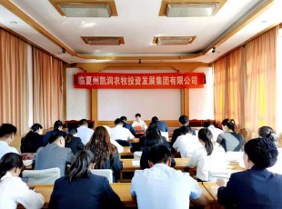 cq9电子官网入口  召开党史学习教育专题向导