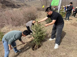 cq9电子官网入口公司加入2025年春季义务植树运动